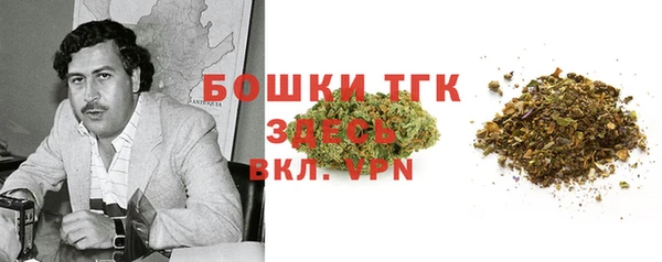 не бодяженный Алексин