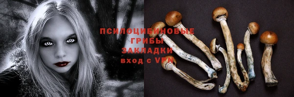не бодяженный Алексин