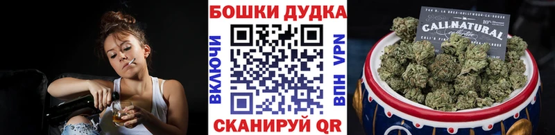 Бошки Шишки планчик  Заволжск 